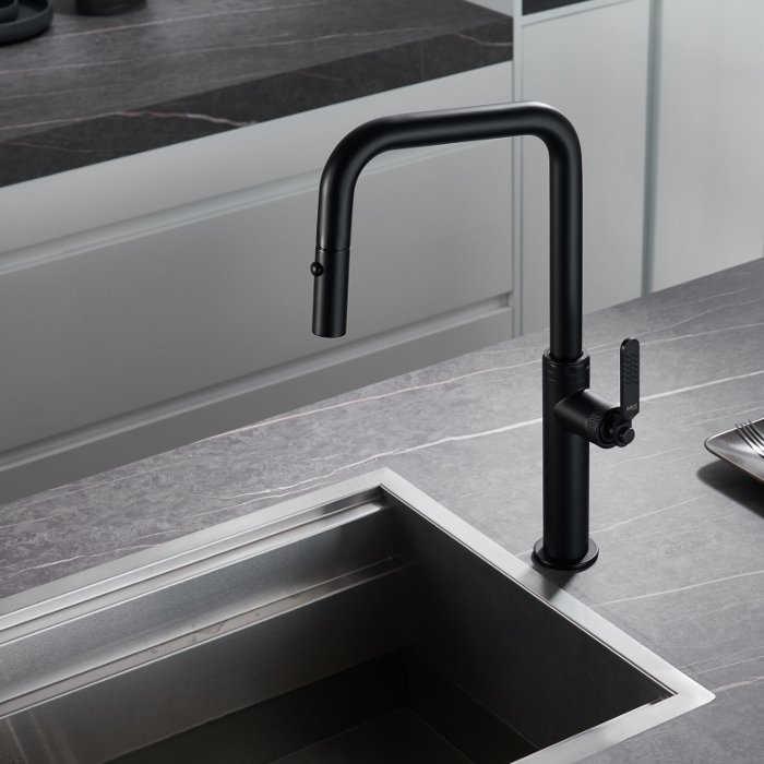 Black High Kitchen Mixer Tap with 2-Way Pull Out Spray Niza Imex