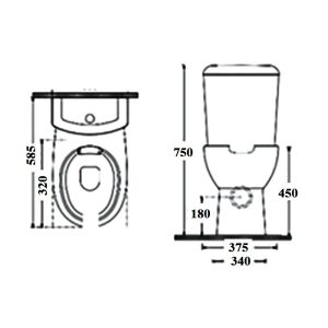 High Rise Close Coupled Toilet for Special Needs P.W.D. Remas Dimensions