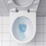 Geberit Icon Rimfree Modern Wall Hung Toilet with Quick Release Soft Close Seat 35,5×53