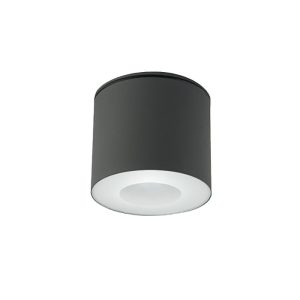 Modern Metal Graphite Outdoor Cylinder Shaped Ceiling Light 9565 Hexa Nowodvorski