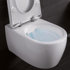 Geberit Icon Rimfree Modern Wall Hung Toilet with Quick Release Soft Close Seat 35,5x53