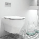 Clear Rimless Olympia Round Wall Hung Toilet with Soft Close Slim Seat 36×50