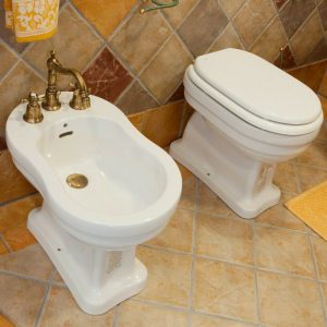 Λεκανη τουαλετας μπανιου και μπιντε τουαλετας επιδαπεδιο vintage Cesame Epoque