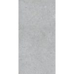 Πλακακια μπανιου δαπεδου μωσαικο μεγαλα γκρι ματ 120χ60 Biophilic Grey