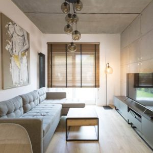 Modern 7-Light Globed Glass Transparent Black Hanging Ceiling Light for Living Room Vetro VII
